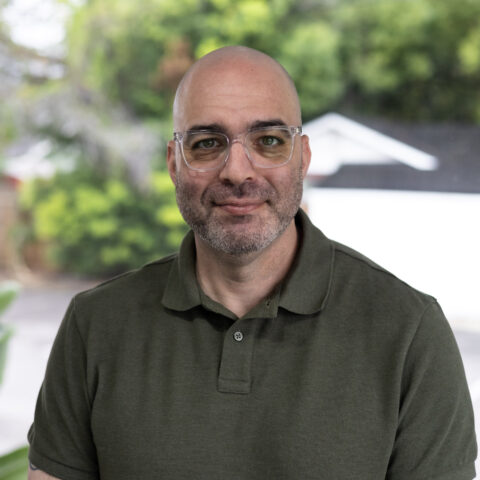 David Stein