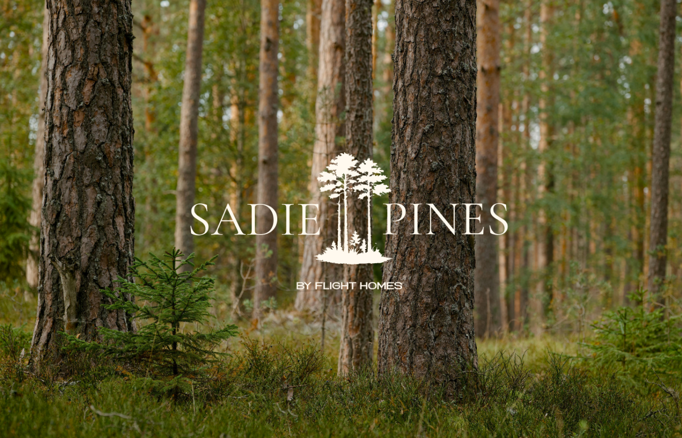 Sadie Pines